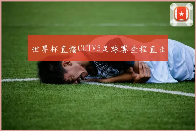 世界杯直播CCTV5足球赛全程直击