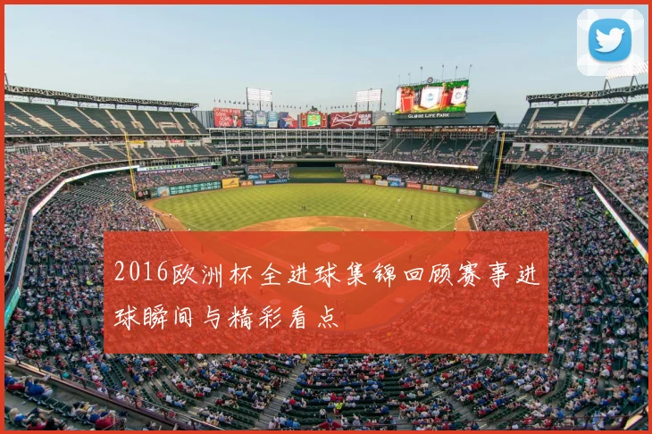 2016欧洲杯全进球集锦回顾赛事进球瞬间与精彩看点