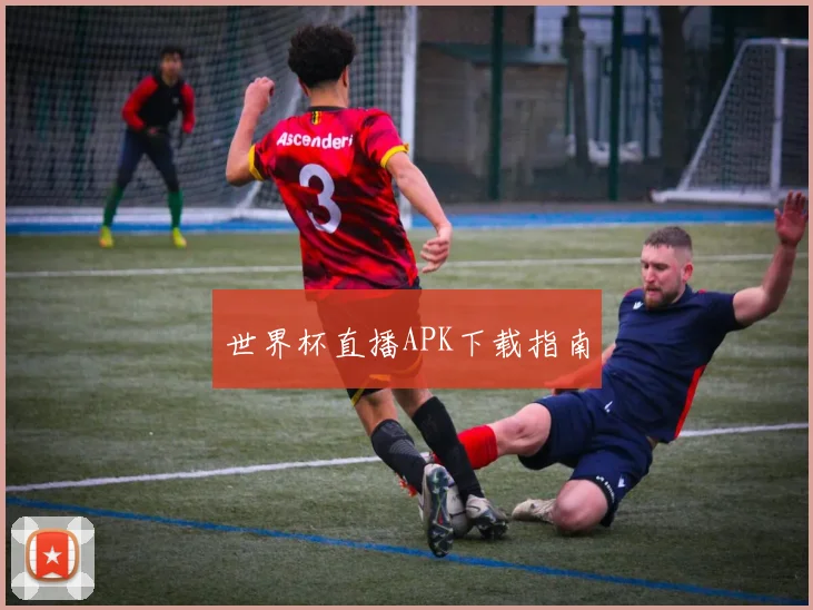 世界杯直播APK下载指南