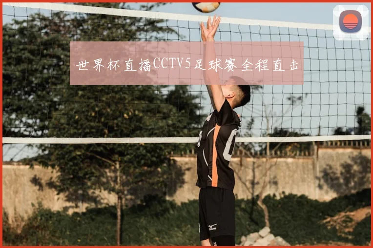 世界杯直播CCTV5足球赛全程直击