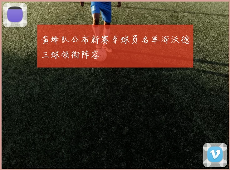 黄蜂队公布新赛季球员名单海沃德三球领衔阵容