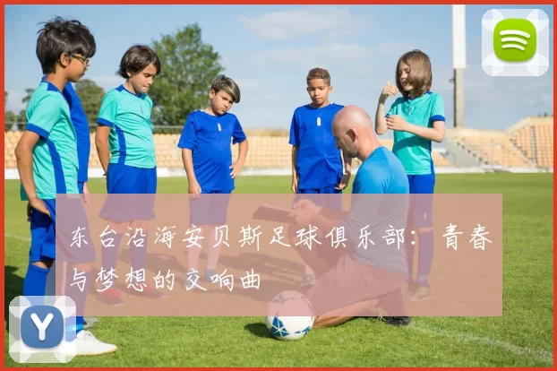 东台沿海安贝斯足球俱乐部：青春与梦想的交响曲