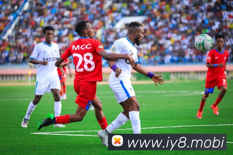 多媒体互动体验